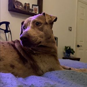 Meet your Posher, Logan